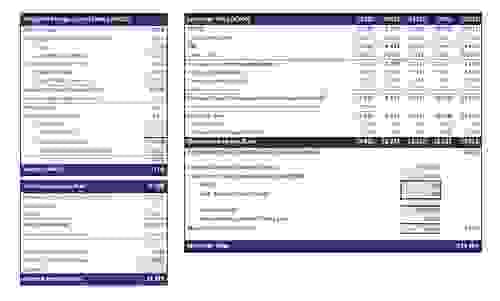 Bussiness Valuation Report