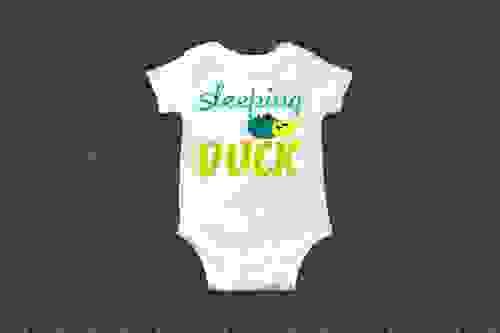 Sleeping duck