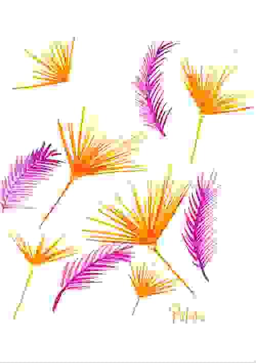 Clashing Palms - FINE ART Limited Edition Print