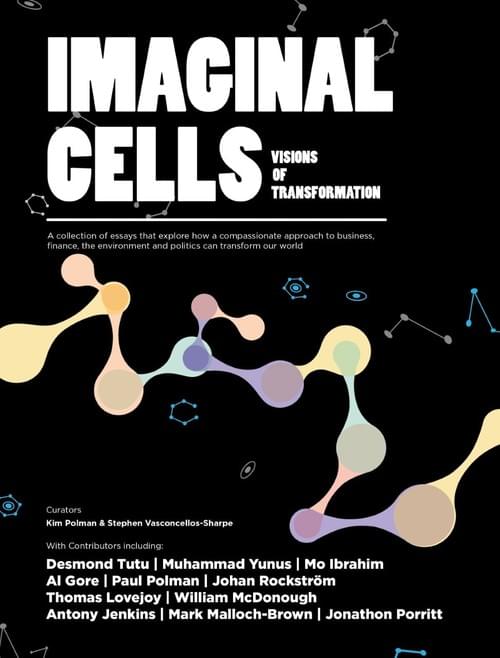 Imaginal Cells Visions of Transformation