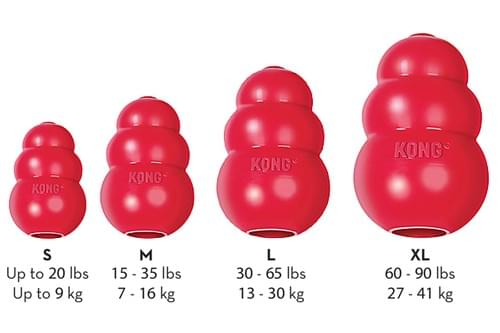 kong extreme goodie bone xl