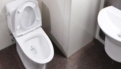 Cible Toilettes - Motifs variés - 8 stickers
