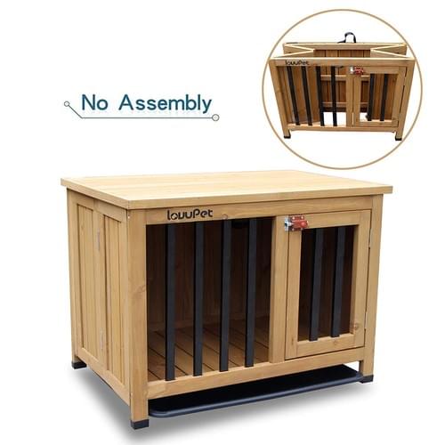 indoor outdoor dog run