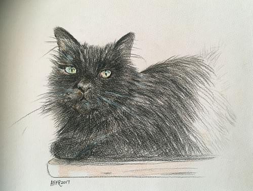 Your personal pet portrait