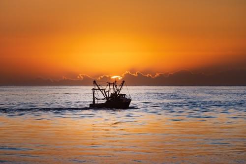 Gone Fishin'
