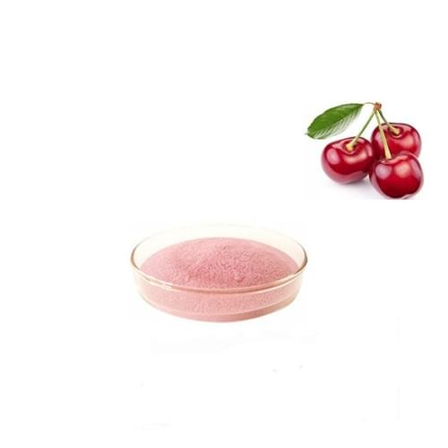 Acerola cherry P.E. 17% VC 100% natural acerola powder High Quality