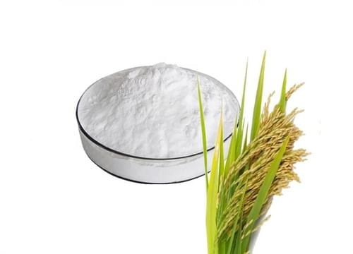 Rice bran wax extract powder 98% policosanol total alcohols 60% octacosanol