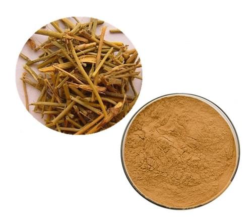 Chinese ephedra extract for medicine