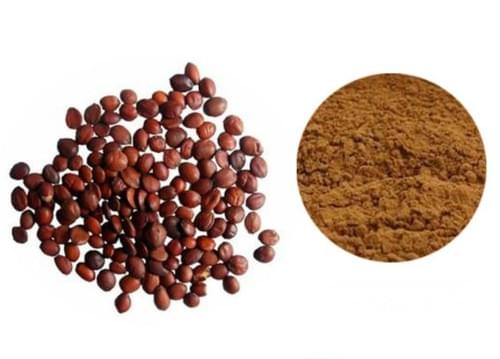 Jujuba P.E. Sleep Help 0.2-2% Total Saponins 100% Natural