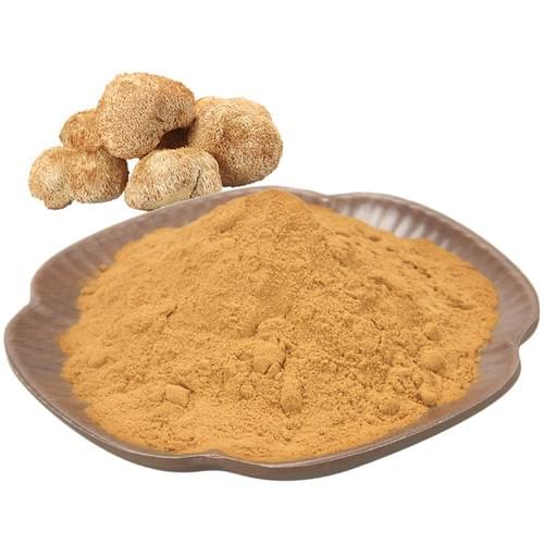 Hericium erinaceus extract/ Lion's Mane Mushroom Extract Polysaccharide