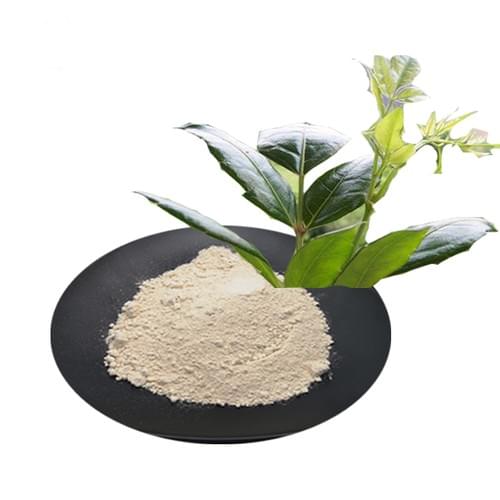 Anti-Infective Dmy vine tea extract Ampelopsis grossedentata ,anti-temulence 98% Dihydromyricetin
