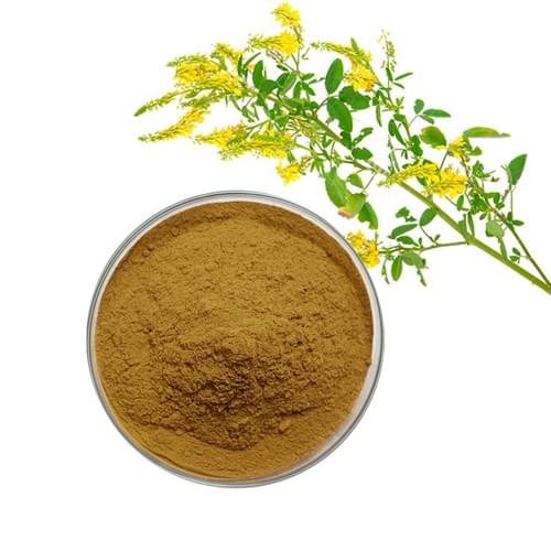 Sweet clover extract coumarin,high quality Coumarin 5% melilotus officinalis extract