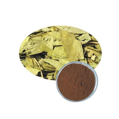8% 20% sennoside senna leaves extract
