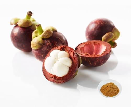 High Quality Mangosteen Fruit Seed Peel Extract Powder