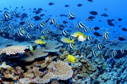 Madagascar : Sainte-Marie