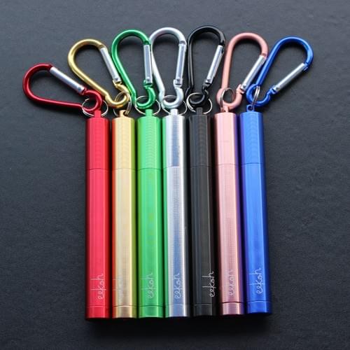 SS Travel Straw