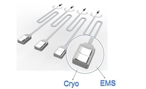 Cryoskin 2in1 cryolipolys machine with EMS