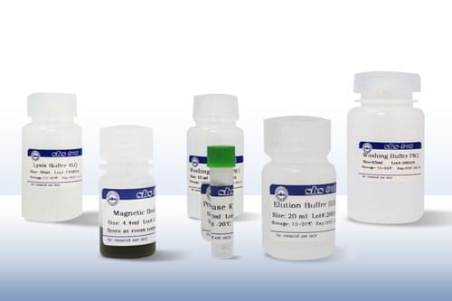 sbs genetech