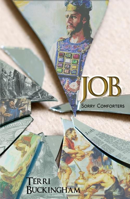 Job: Sorry Comforters (PDF)