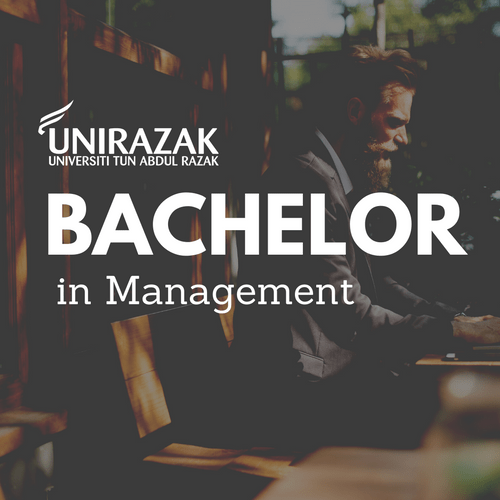Bachelor in Management