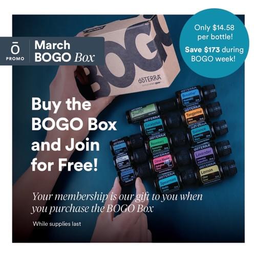 BOGO BOX: Extended!!