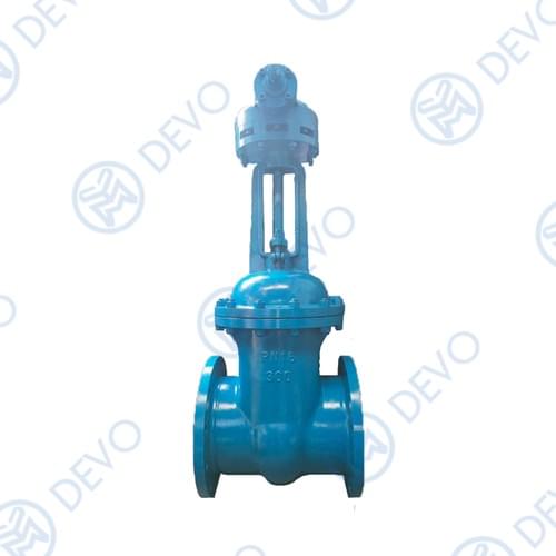 PN16 Stainless Steel Gate Valve