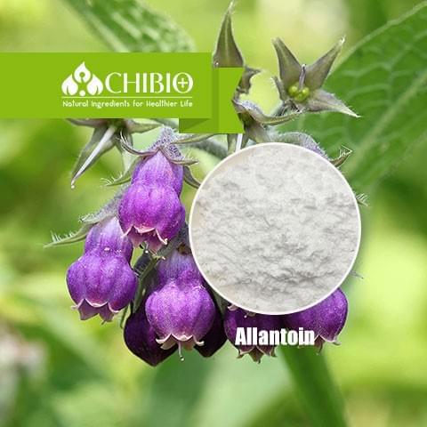 Allantoin