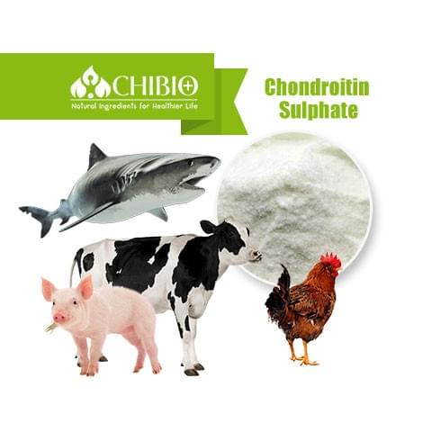 Chondroitin Sulphate