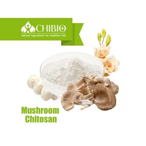 Mushroom Chitosan