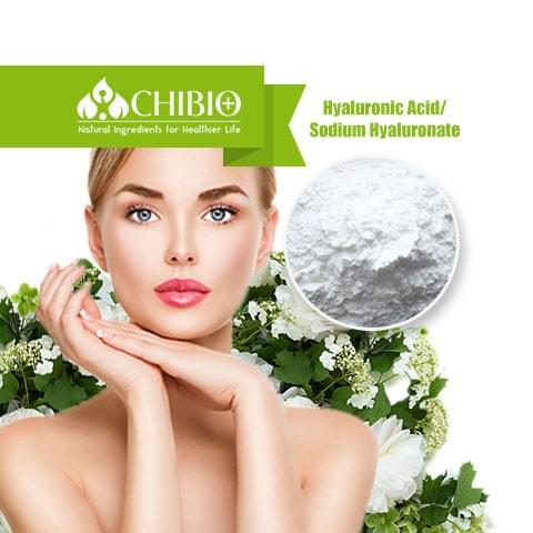 Hyaluronic Acid/Sodium Hyaluronate