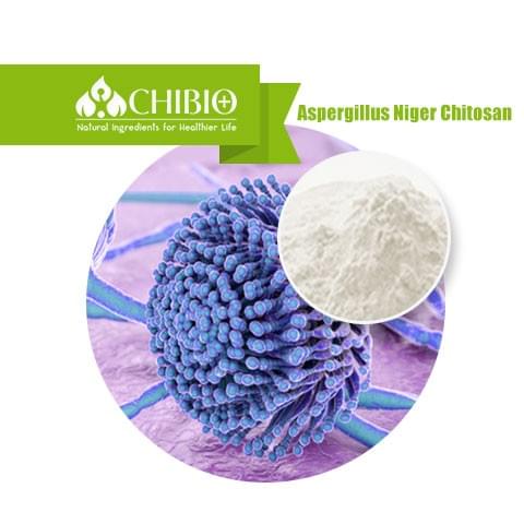 Aspergillus Niger Chitosan