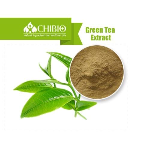 Green Tea Extract