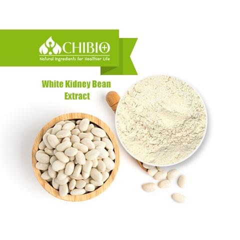 White Kidney Bean Extract