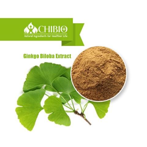 Ginkgo Biloba Extract