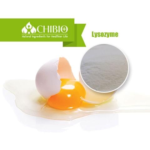 Lysozyme