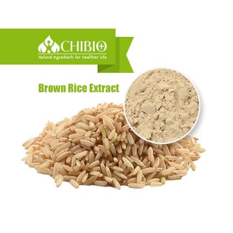 Brown Rice Extract