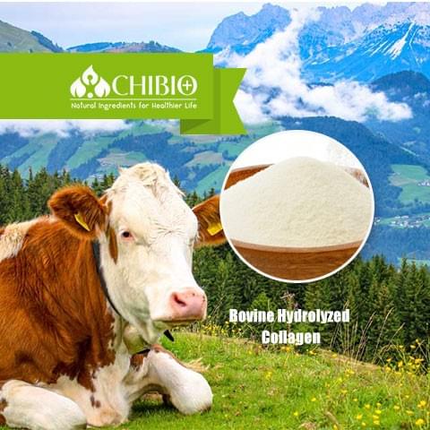 Bovine Hydrolyzed Collagen