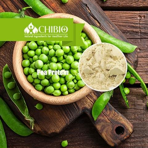 Pea Protein