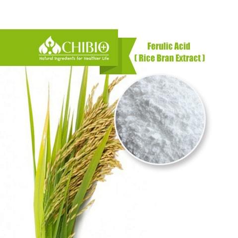 Ferulic Acid ( Rice Bran Extract )