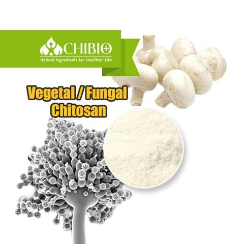 Vegetal / Fungal Chitosan
