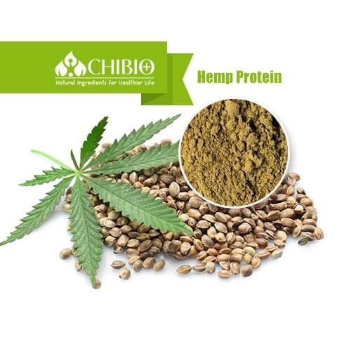 Hemp Protein