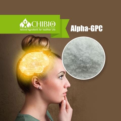 Alpha-GPC
