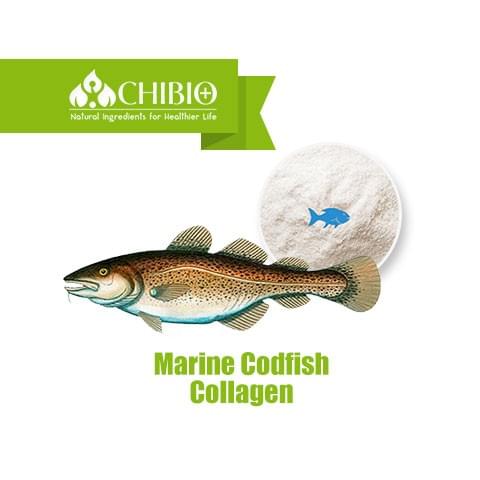 Marine Codfish Collagen