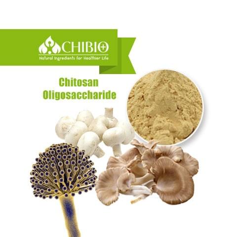 Chitosan Oligosaccharide