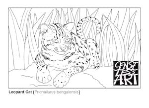 Free Leopard Cat Colouring Page