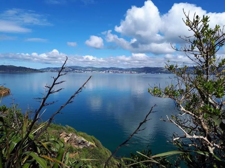 KACC walking group is one of our interest group