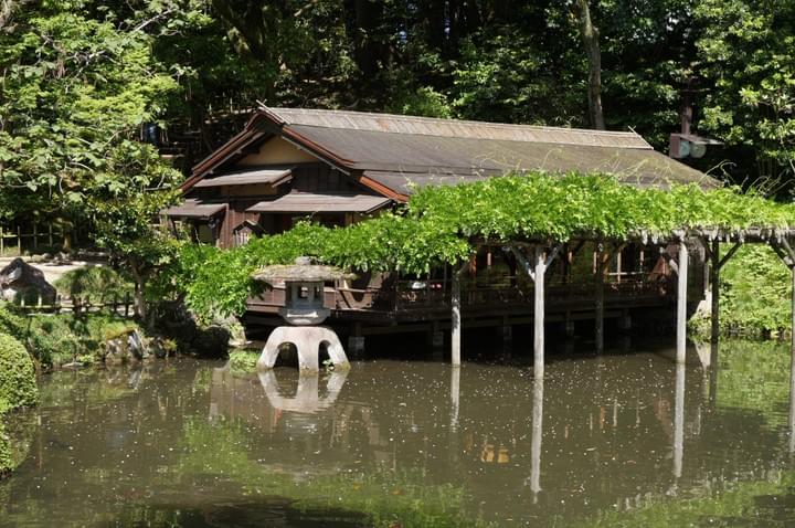 KACC garden group is one of our interest group