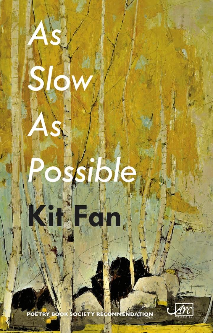 Kit Fan second book As Slow As Possible