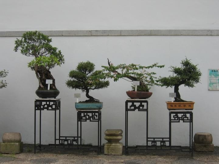 Kit Fan British Library Between two worlds: poetry and translation