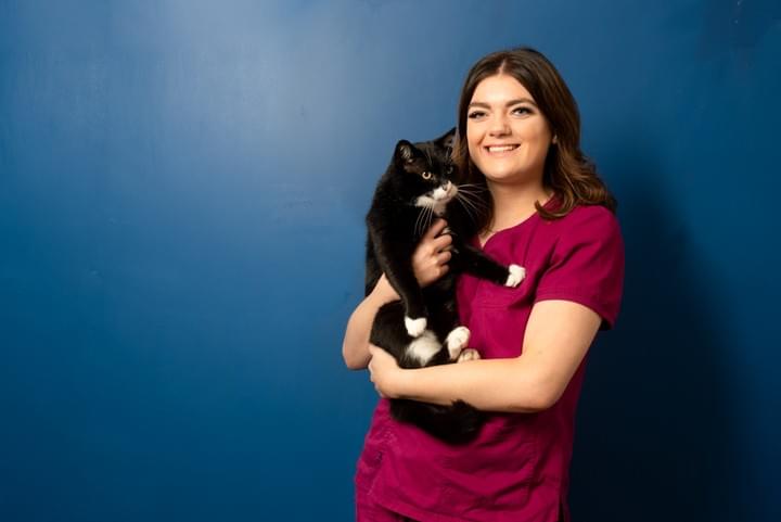 Just Cats Dublin S Cat Only Veterinary Practice
